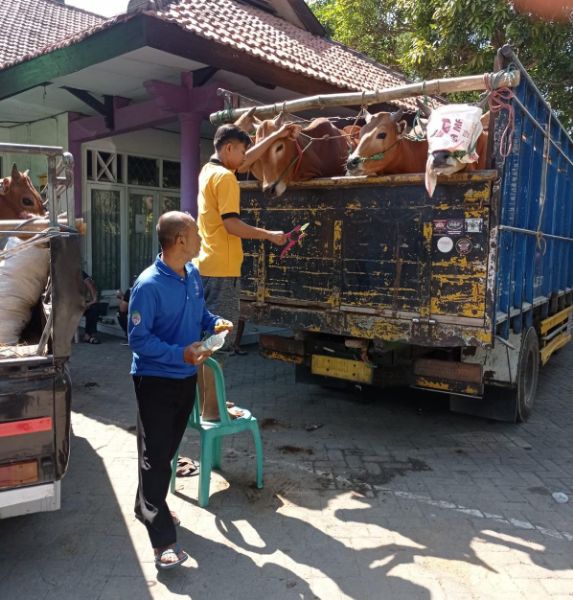Dinas Peternakan Bangkalan, Pastikan hewan Kurban Aman dan Layak 