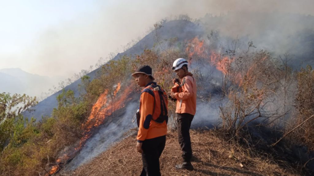 Hutan Gunung Anjasmoro Jombang Terbakar, BPBD Ungkap Kendala Pemadaman