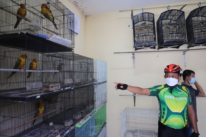 Sebelum Ngantor, Cak Ji Gowes Sambil Blusukan ke Pasar Burung Bratang