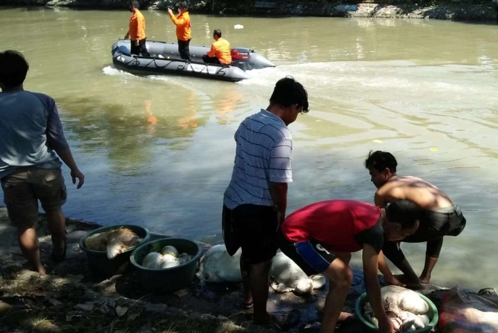 Idul Adha, Warga Dilarang Buang Rumen di Sungai