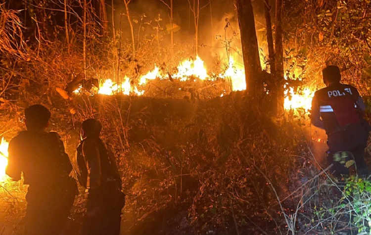 Hutan Gunung Bungkuk di Magetan Terbakar, Belasan Hektar Jati Hangus