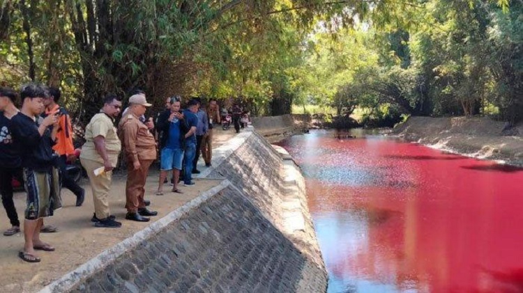 Terungkap! Sungai Merah di Pamekasan Akibat Pewarna Batik 