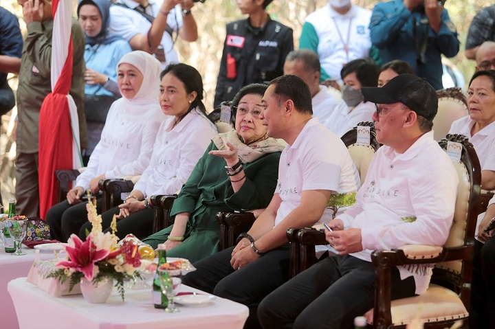 Megawati: Kebun Raya Mangrove Surabaya Terbesar di Indonesia