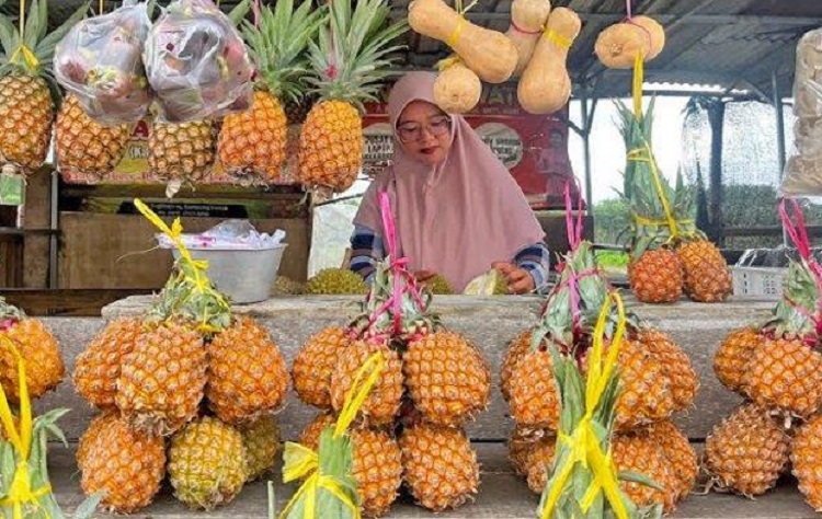 Potensi Buah Nanas Lereng Kelud Tembus Pasar Ekspor Oman Dan Jeddah