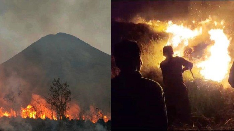 Jalur Pendakian di Gunung Bekel Mojokerto Kembali Dibuka Pasca Kebakaran