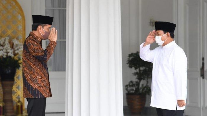 Jokowi Maju Cawapres, Rusak dan Ganggu Demokrasi