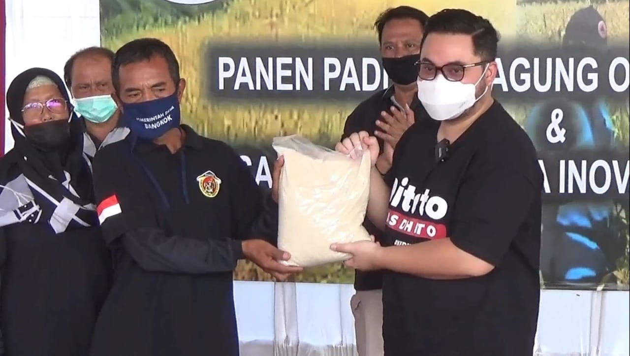 Mas Bup Ditho Panen Padi Organik di Gurah Kabupaten Kediri