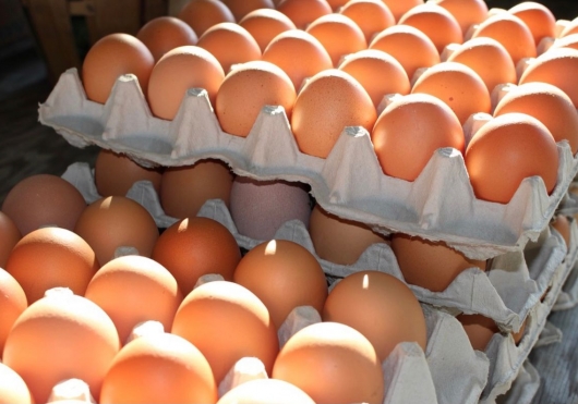 Harga Telur Ayam Ras di Sumenep Melonjak