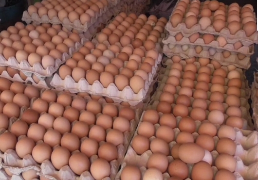 Harga Telur Ayam Ras di Jatim Melambung Naik
