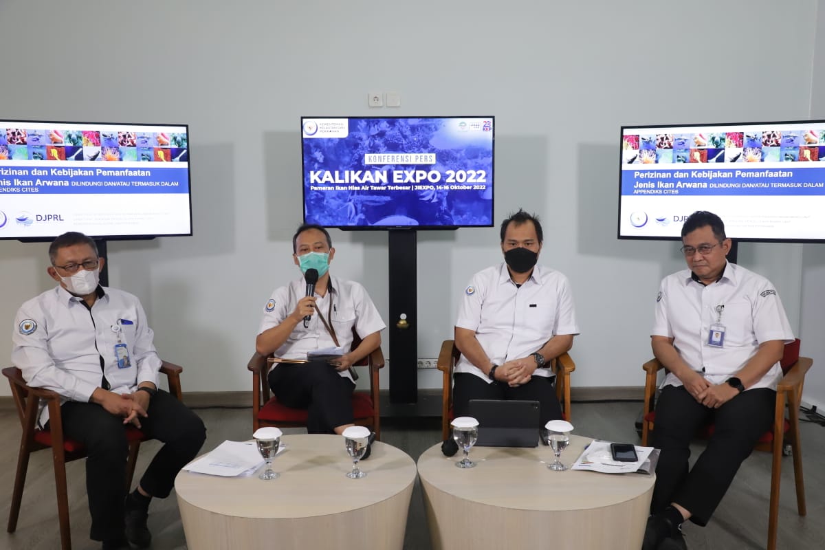 Perluas Pasar Ikan Hias Air Tawar Indonesia, KKP Gandeng Kalikan Gelar Kalikan Expo 2022