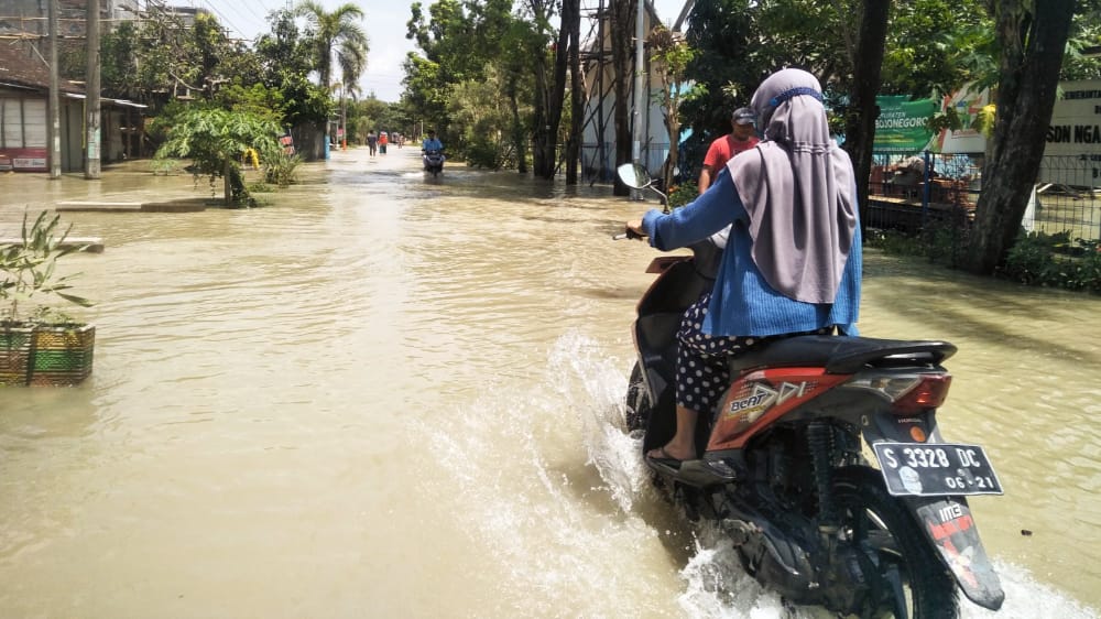 Kali Pacal Meluap, Ratusan Rumah di Kecamatan Balen Bojonegoro Terendam Banjir