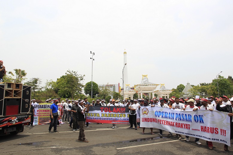 Pasar Direbut Integrator, Peternak Unggas Mandiri UMKM Demo di Kantor Gubernur Jatim