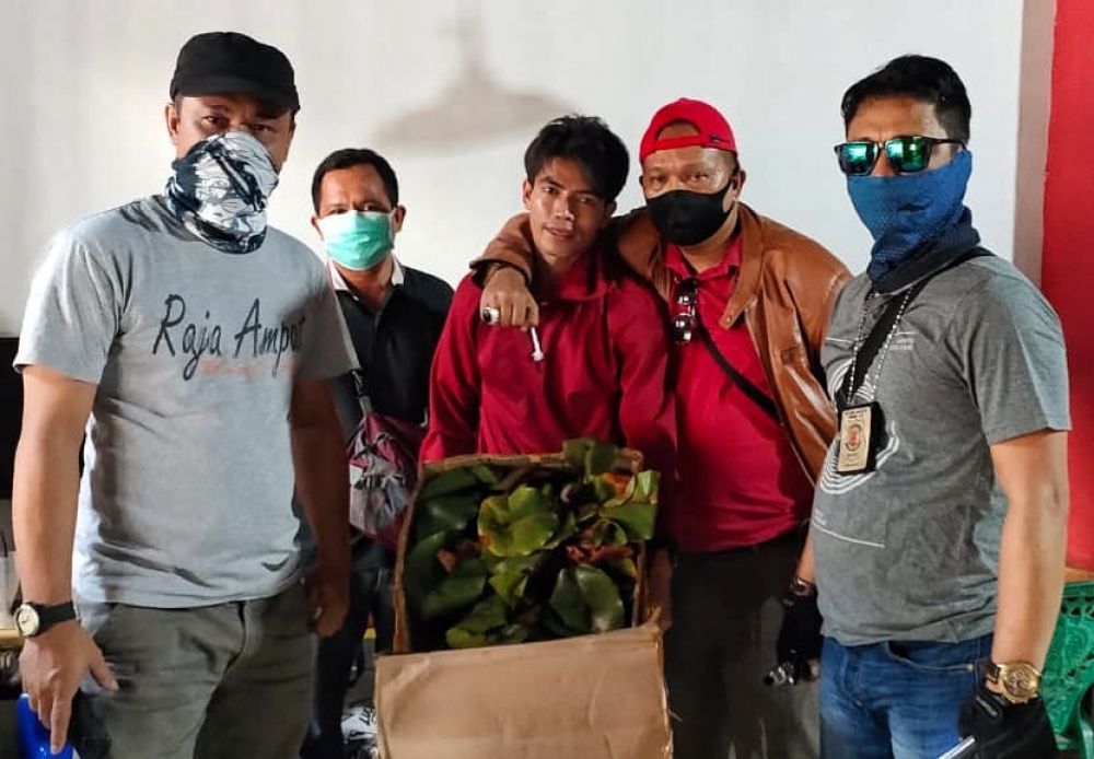 BKSDA Kalbar Gagalkan Penyelundupan Tanaman Kantong Semar