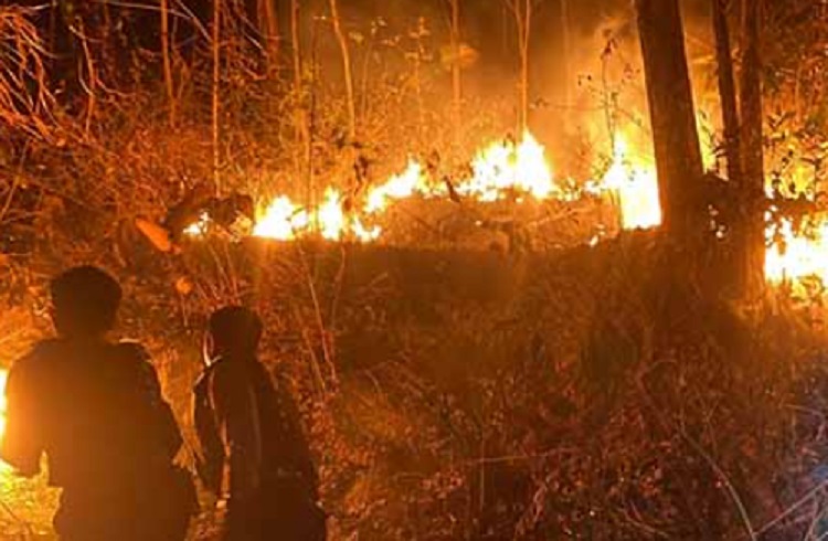 Lahan Seluas 5 Hektar di Hutan Gunung Bungkuk Magetan Terbakar, Dipicu Cuaca Panas