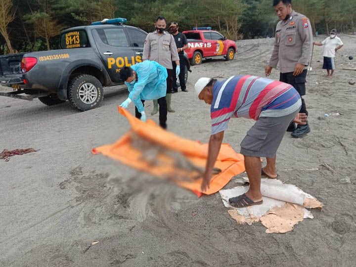 Mayat Tinggal Kerangka Ditemukan di Pinggir Pantai Jolosutro