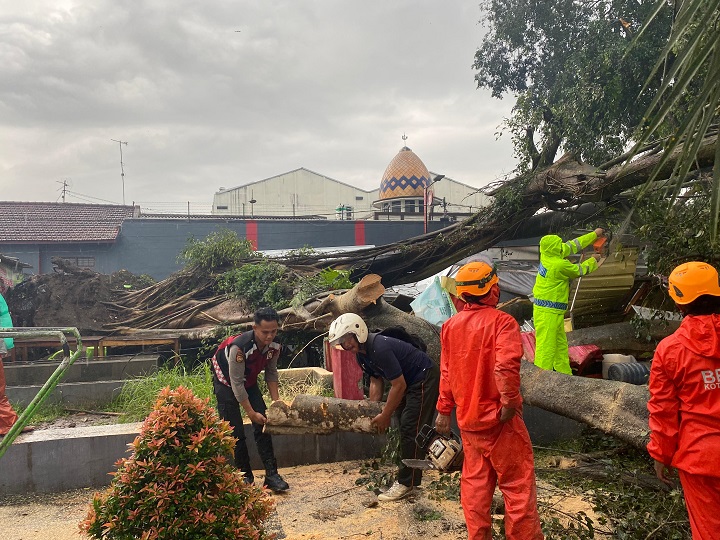 Pohon Beringin di Alun-alun Kota Blitar Tumbang, 10 Orang Luka-luka