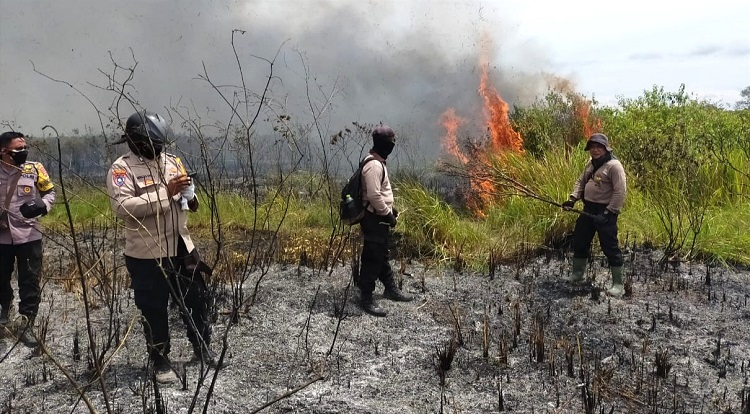 Sekitar 200 Hektar Lahan Taman Nasional Way Kambas Terbakar, Diduga Ulah Pemburu Satwa Liar