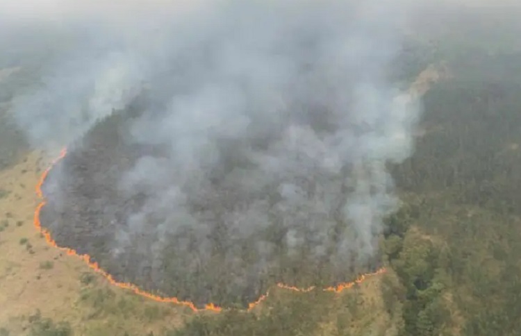 Buntut Kebakaran Karhutla Meluas, Semua Akses Wisata di Gunung Arjuno Ditutup