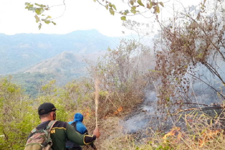 Kawasan Lereng Gunung Anjasmoro di Mojokerto Terbakar, Didominasi Ilalang dan Semak Belukar