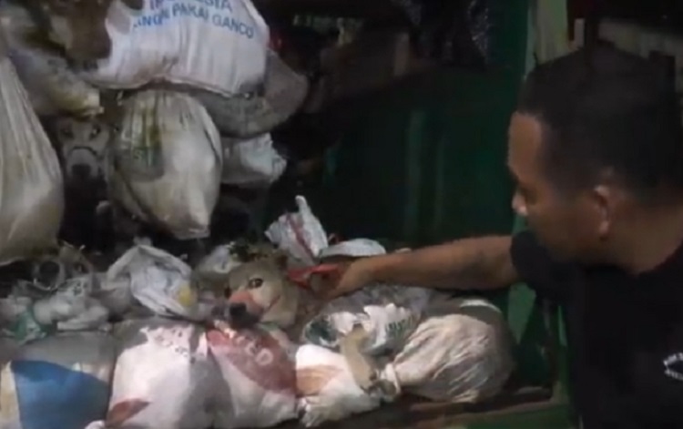 Polisi Berhasil Gagalkan Penyelundupan 226 Ekor Anjing yang hendak Dikonsumsi Secara Ilegal