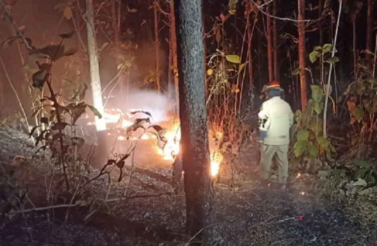 Hutan Kahyangan Api Seluas 3 Hektar di Bojonegoro Terbakar, Ini Penyebabnya....