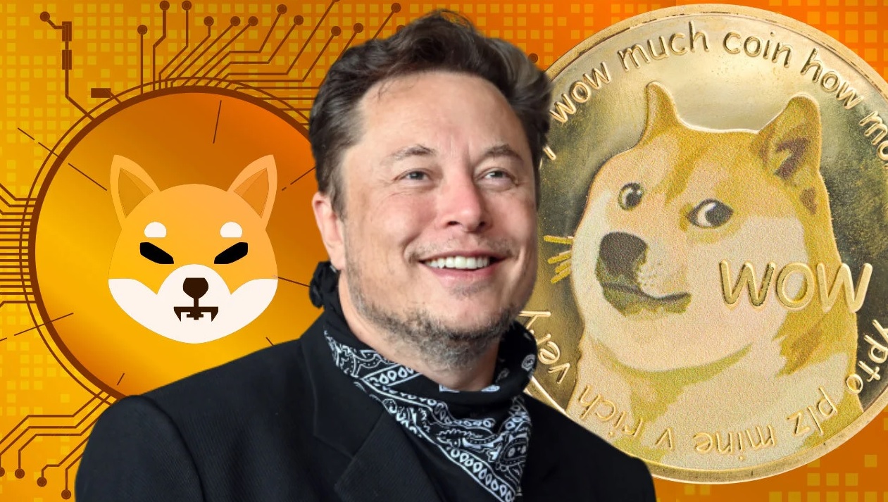 Ganti Logo Twitter Dengan Shiba Inu, Elon Musk Gegerkan Kripto Dogecoin