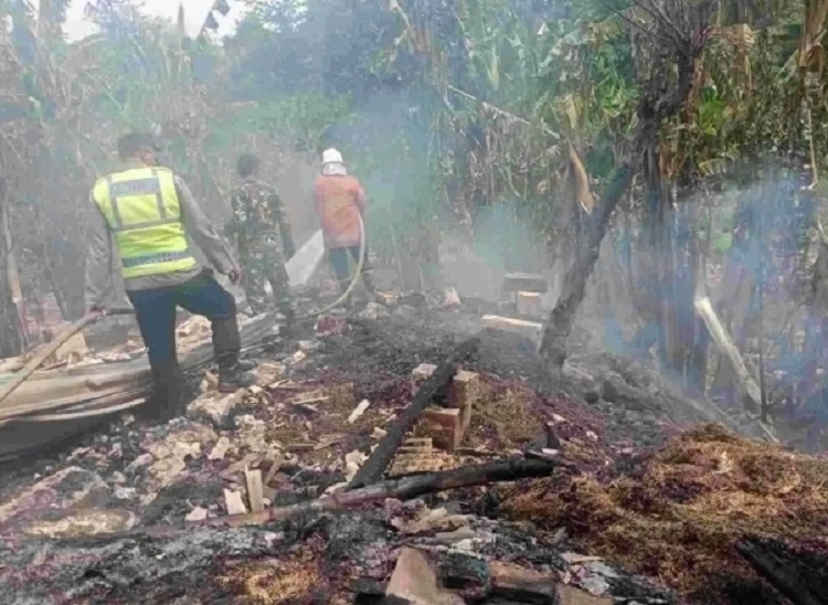 Kandang Ternak di Jetis Mojokerto Terbakar, BPBD: Sapi Berhasil Diselamatkan