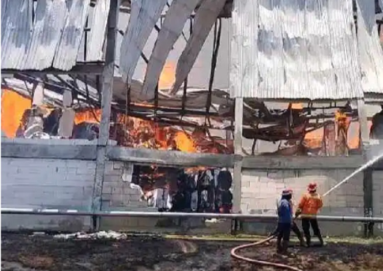 Terbaru: Insiden Kebakaran Pabrik Tisu PT Sun Paper Source, Tewaskan 1 Karyawan