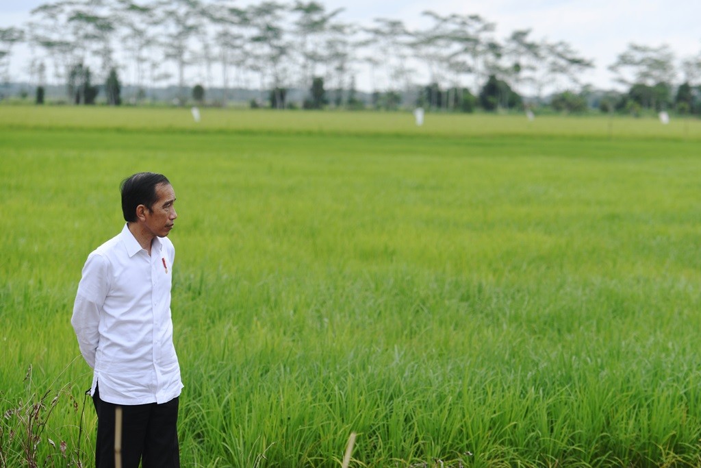 Jokowi: 345 Juta Orang di Dunia Terancam Kelaparan