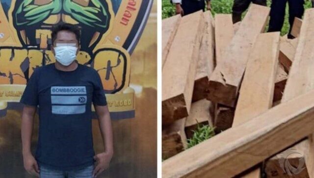 Illegal Logging di Lumajang Dibongkar Polisi