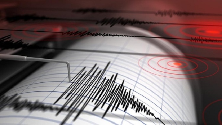 Kamis Dini Hari: Gempa Bumi Magnitudo 4,8 Goyang Trenggalek dan Sekitarnya