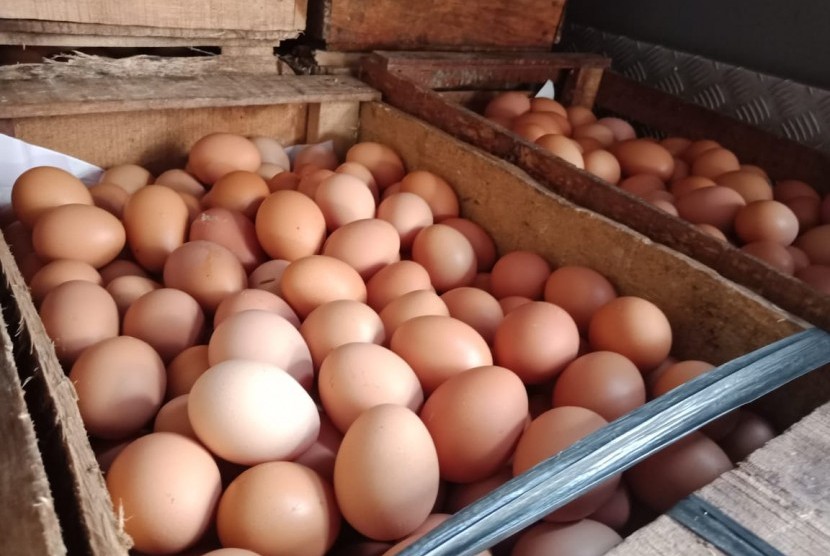 Kadisnak Jatim: Harga Telur Ayam Masih Sulit Turun