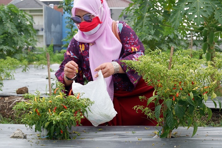 Ketua Komisi B DPRD Surabaya Dorong Pemkot Maksimalkan Lahan BTKD Untuk Lahan Pertanian