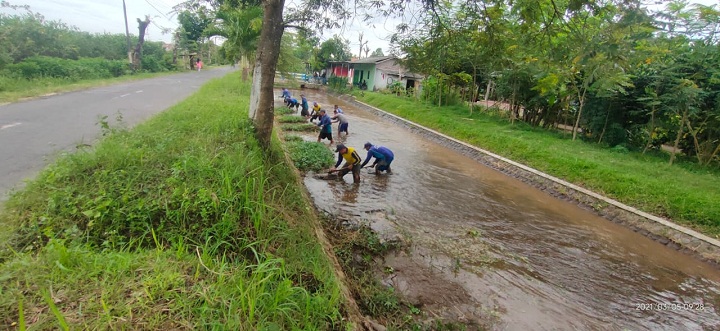 Antisipasi Luberan Sungai, SDA Semboro Bersih Sungai