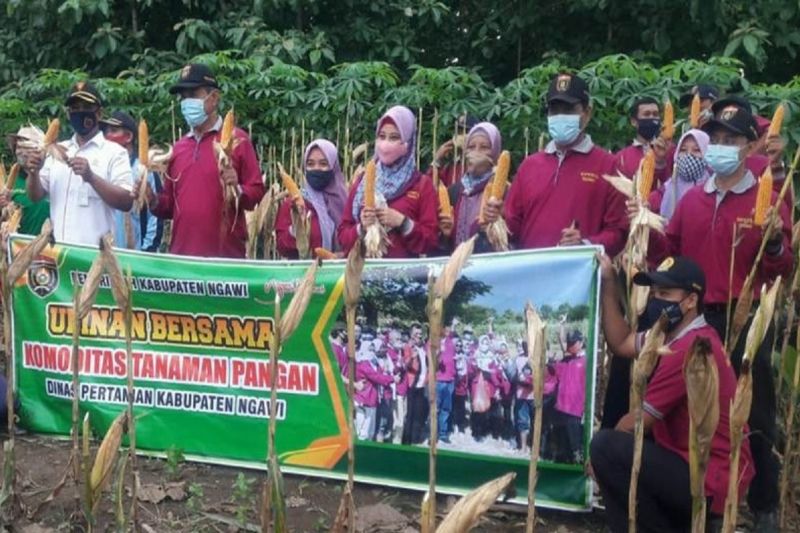 Pemkab Ngawi Dorong Petani Tepian Hutan Jajaki Kerja Sama dengan Perhutani