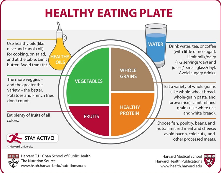 Tips Sehat dan Panjang Umur Dengan Program Diet Ala Harvard
