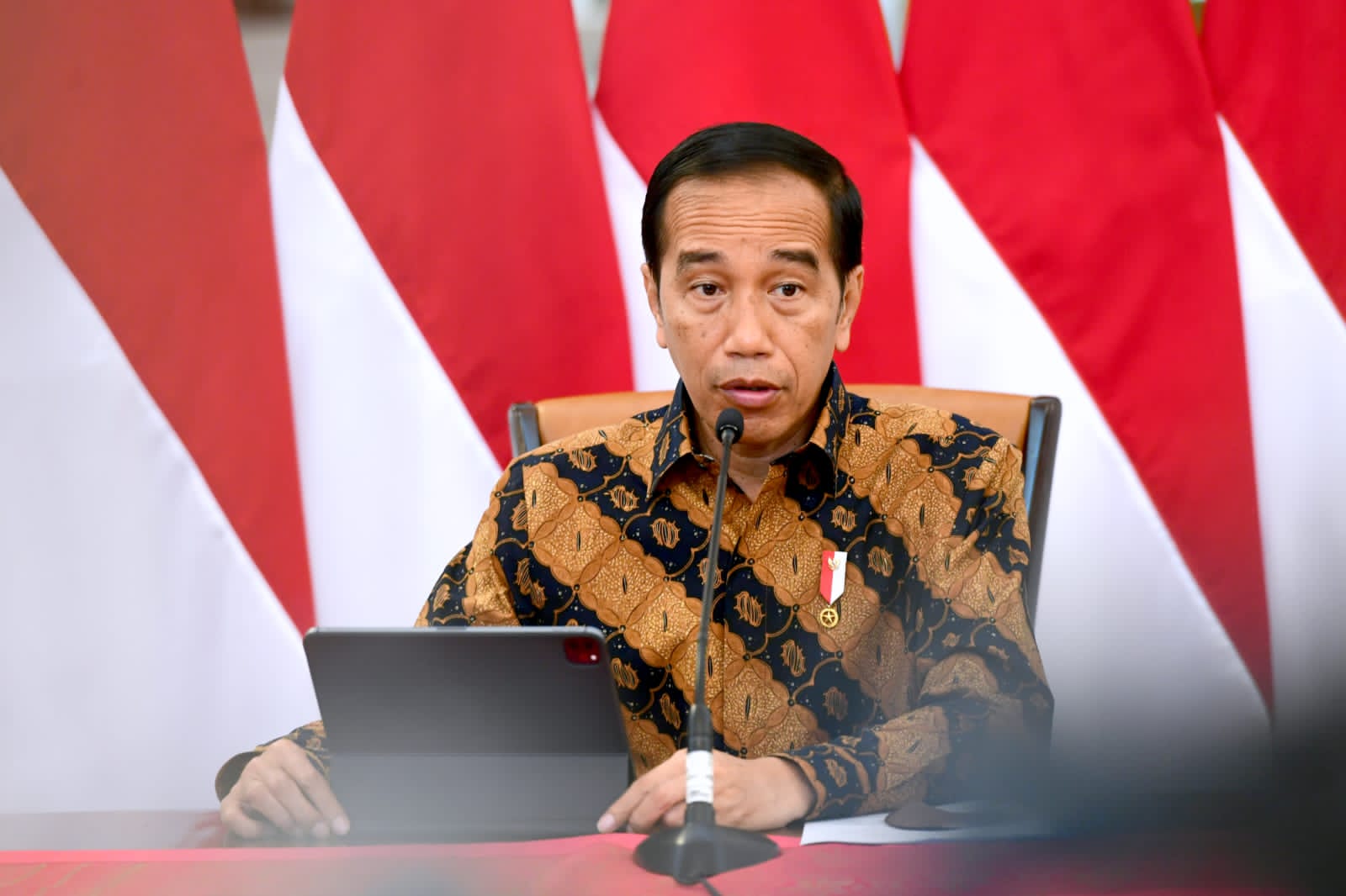 Jokowi Resmi Setop Ekspor Bauksit Mulai Juni 2023