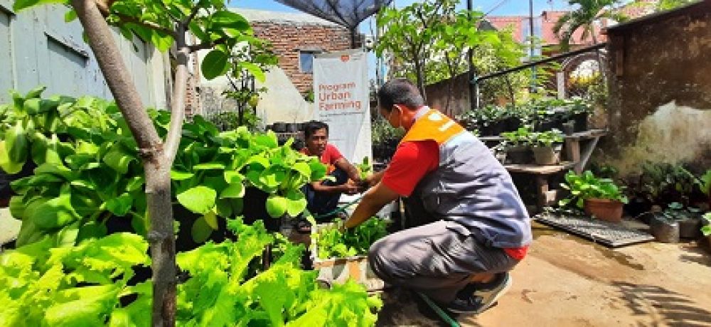 Arief's Gogha, Aktivis Urban Farming Kota Malang Binaan Rumah Zakat