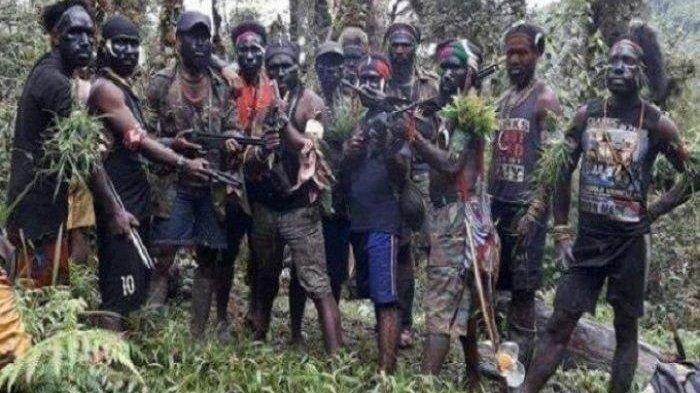 Teroris di Papua, Bakal Diserang Satgas TNI-Polri-Densus 88