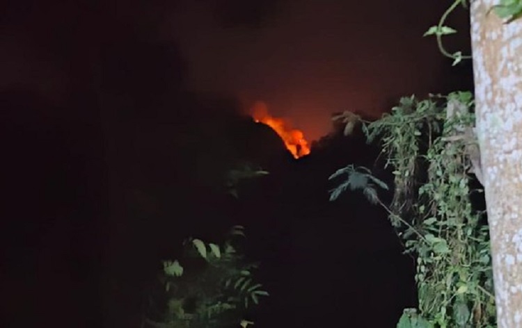 Lereng Gunung Argopuro Jember Terbakar, Lokasi Pemadaman Sulit Dijangkau