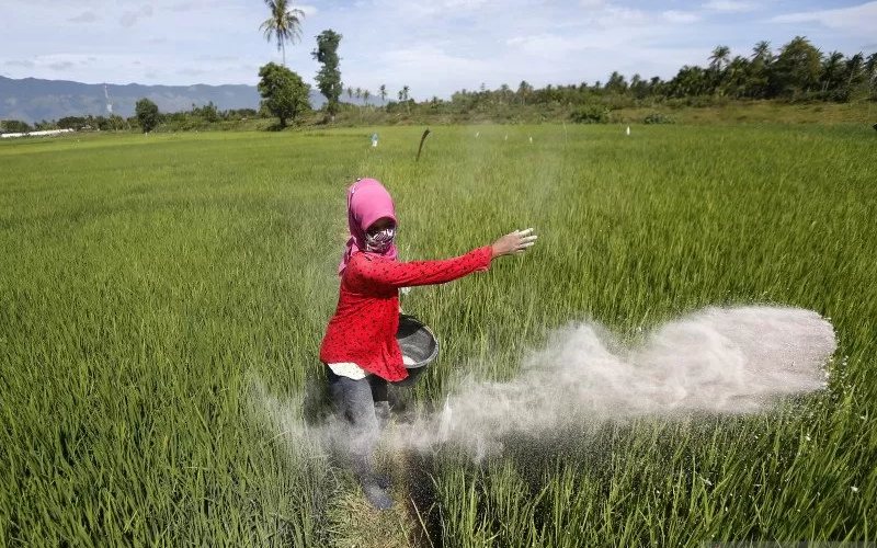 Kuota Pupuk Subsidi untuk Petani Trenggalek Turun 484 ton Tahun Ini