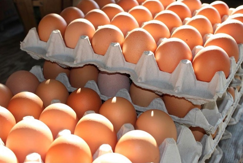 Permintaan Tinggi, Harga Telur Ayam Ras di Jatim Naik