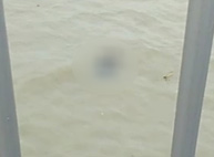 Jenazah Ditemukan Dibawah Jembatan Suramadu