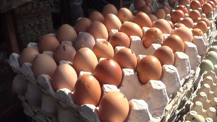 Harga Telur Ayam Mahal, Telur Bantesan Diburu Warga