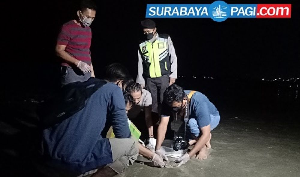 Geger Penemuan Mayat Bayi di Wilayah Pantai Kelurahan Karangsari Tuban