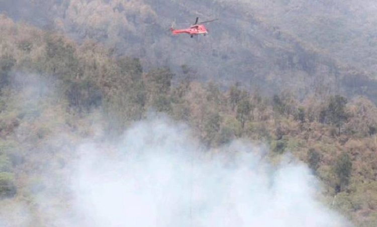 Kebakaran di Bukit Teletubbies Gunung Bromo Mulai Padam, Berkat Water Bombing 184.000 Liter